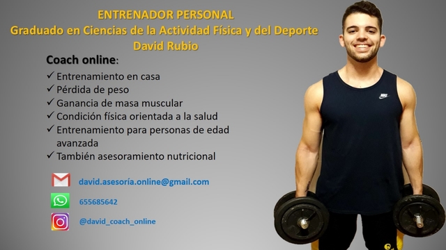 Fitness peso perdida personal de entrenamiento sala